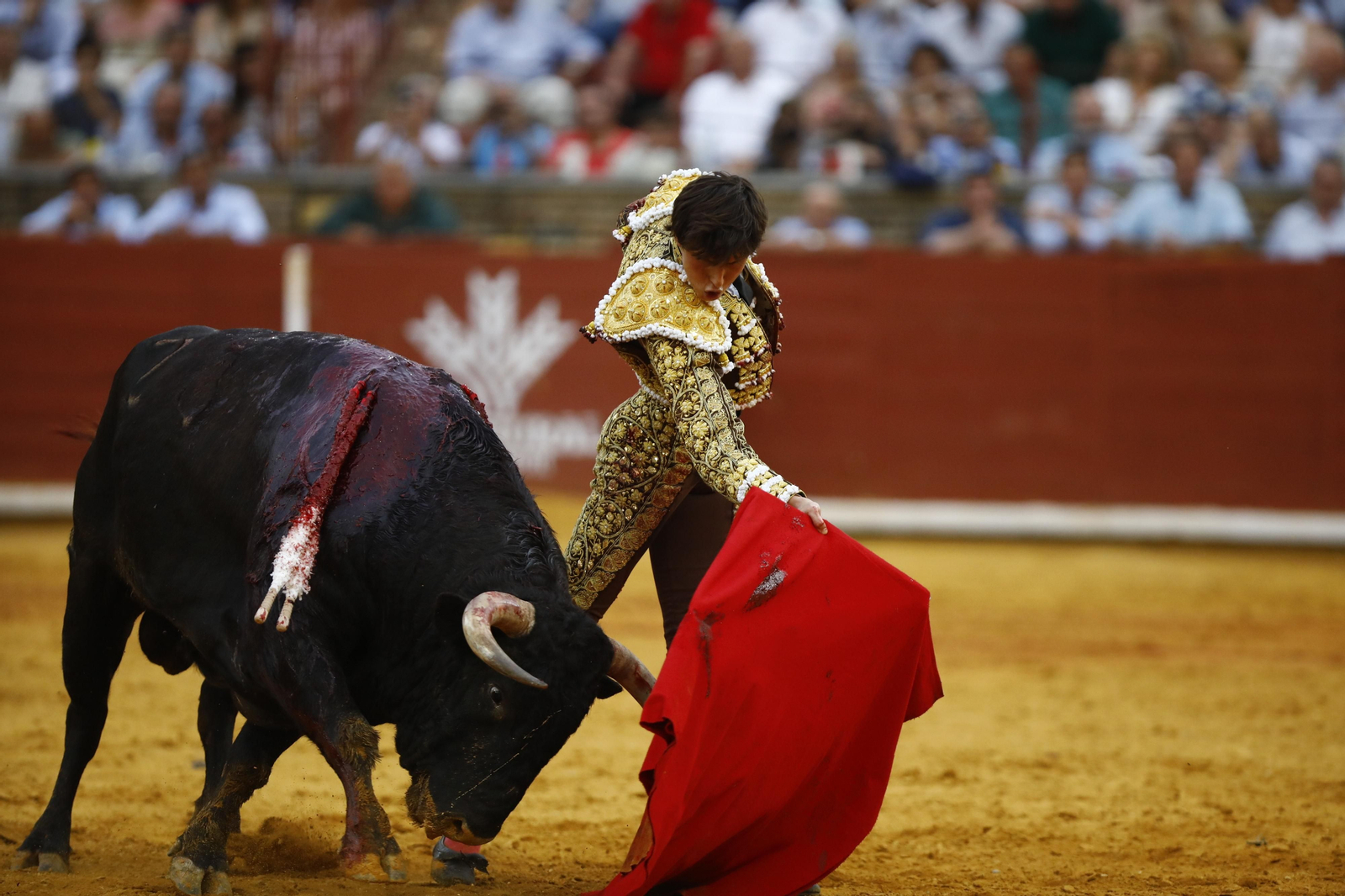 La corrida de Talavante, Roca Rey y Lagartijo, en Córdoba, en imágenes