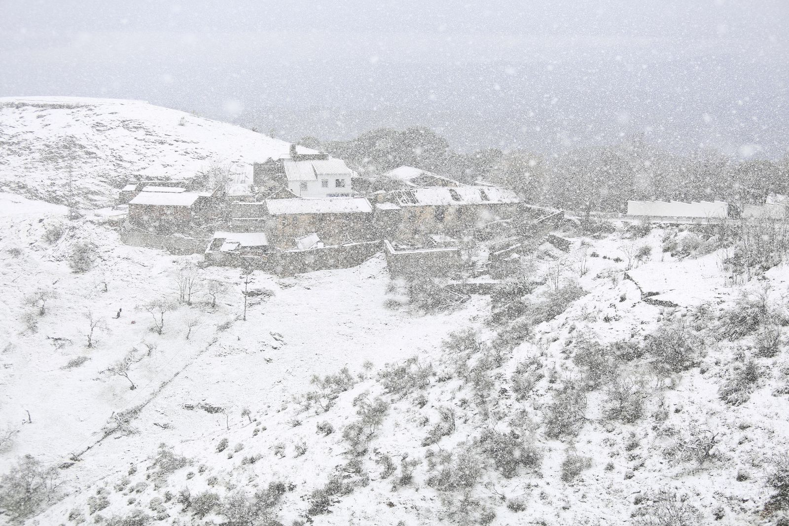 Las imágenes de la nevada en Málaga