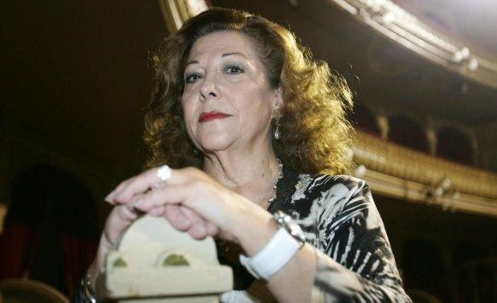 Más de 60 artistas rendirán homenaje a Mariana Cornejo en el Falla