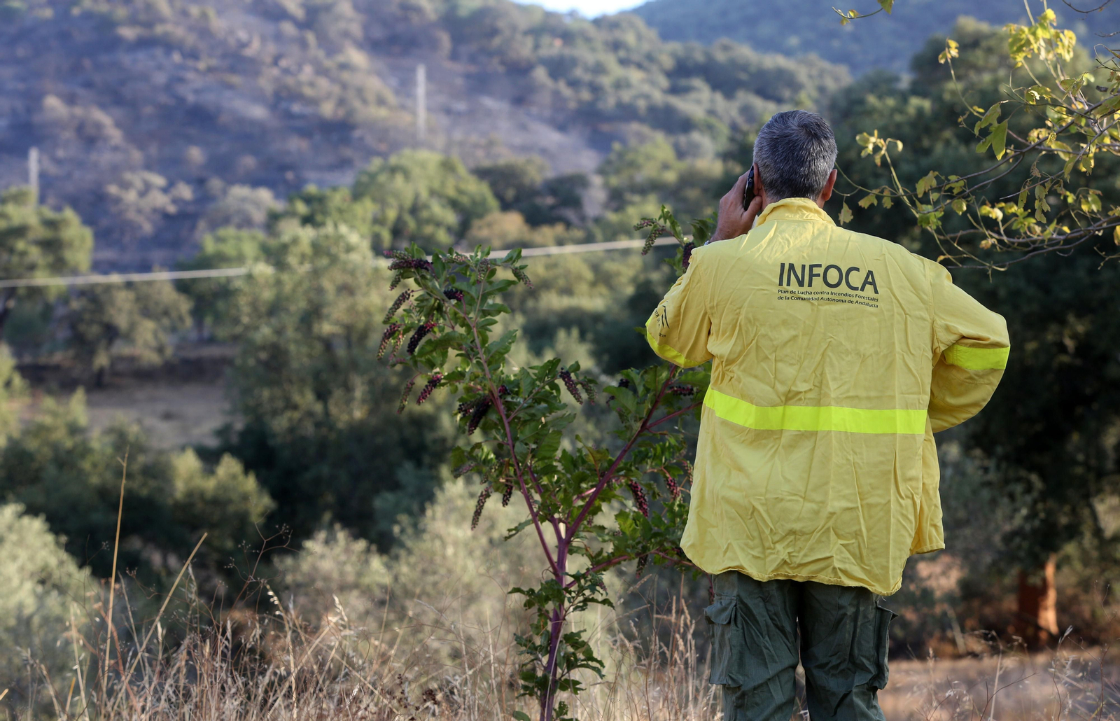 Imágenes del área afectada por el fuego del segundo día en el incendio de Almonaster
