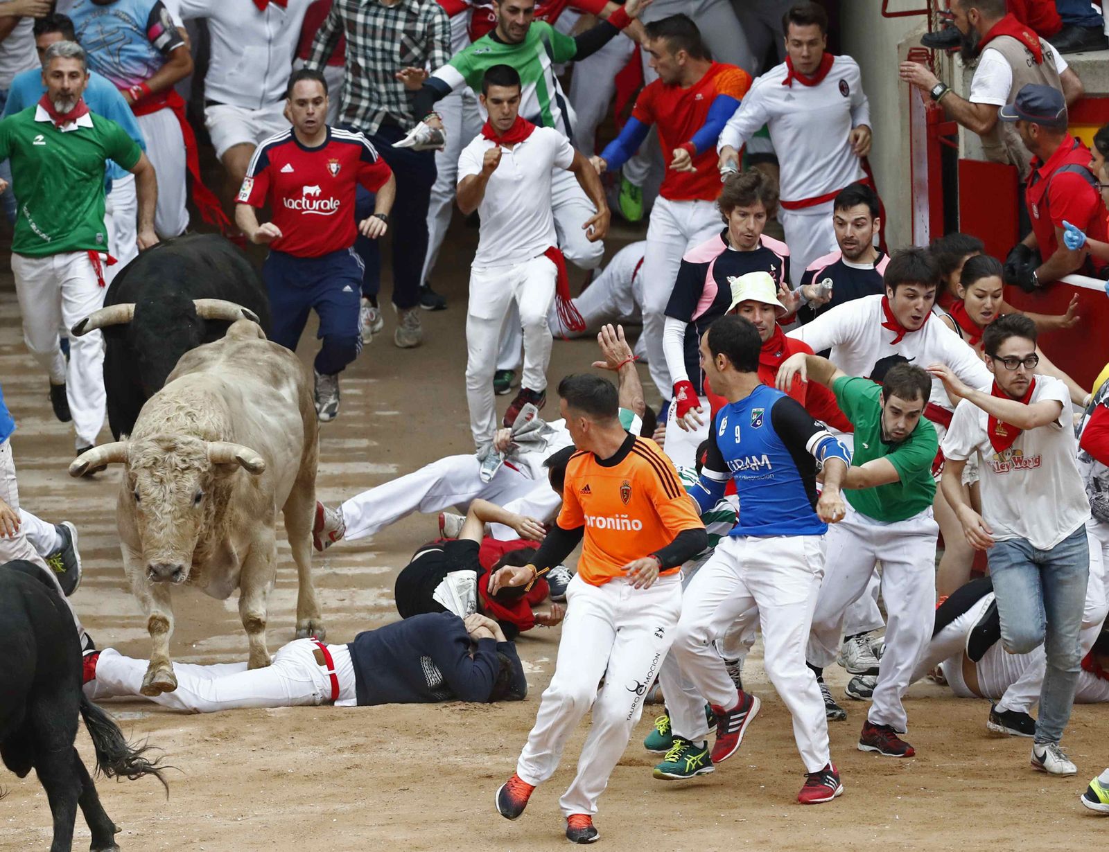 Las imágenes del encierro de los toros de Jandilla