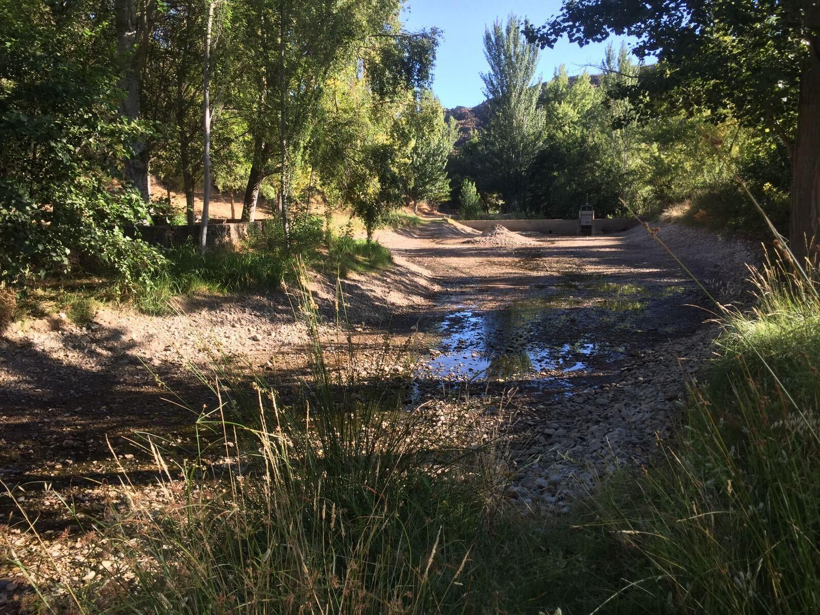 Contaminación por purines en la presa del Dundún, en Huelva.