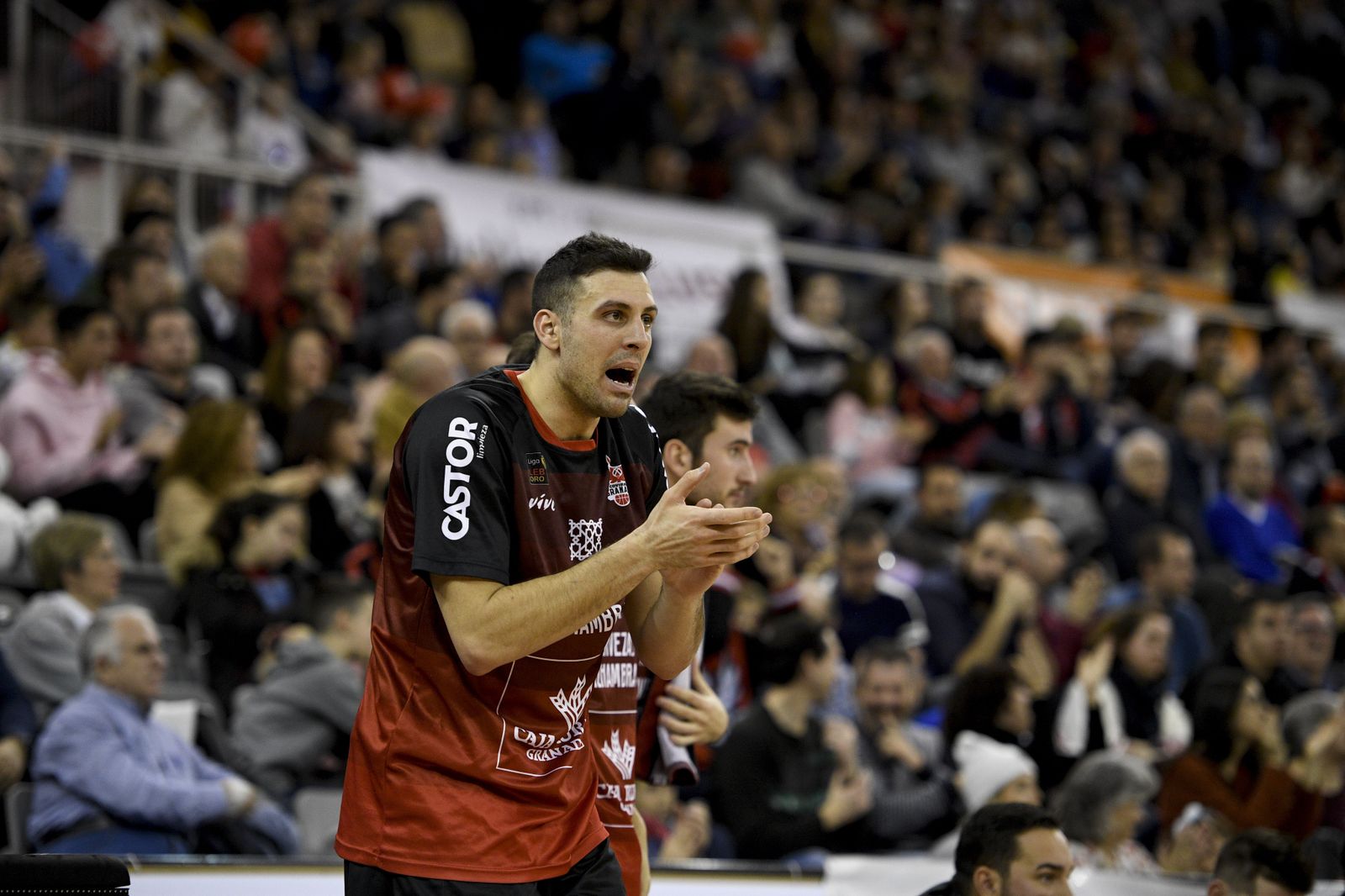 Bortolussi anima a sus compañeros durante el partido ante el Valladolid