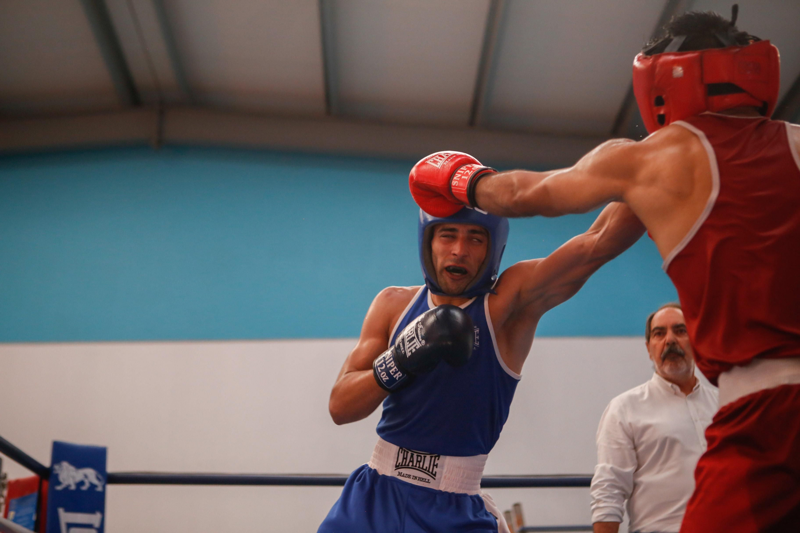 Las fotos de la velada de boxeo Gibraltar-Selección Andaluza en La Línea Las fotos de la velada de boxeo Gibraltar-Selección Andaluza en La Línea