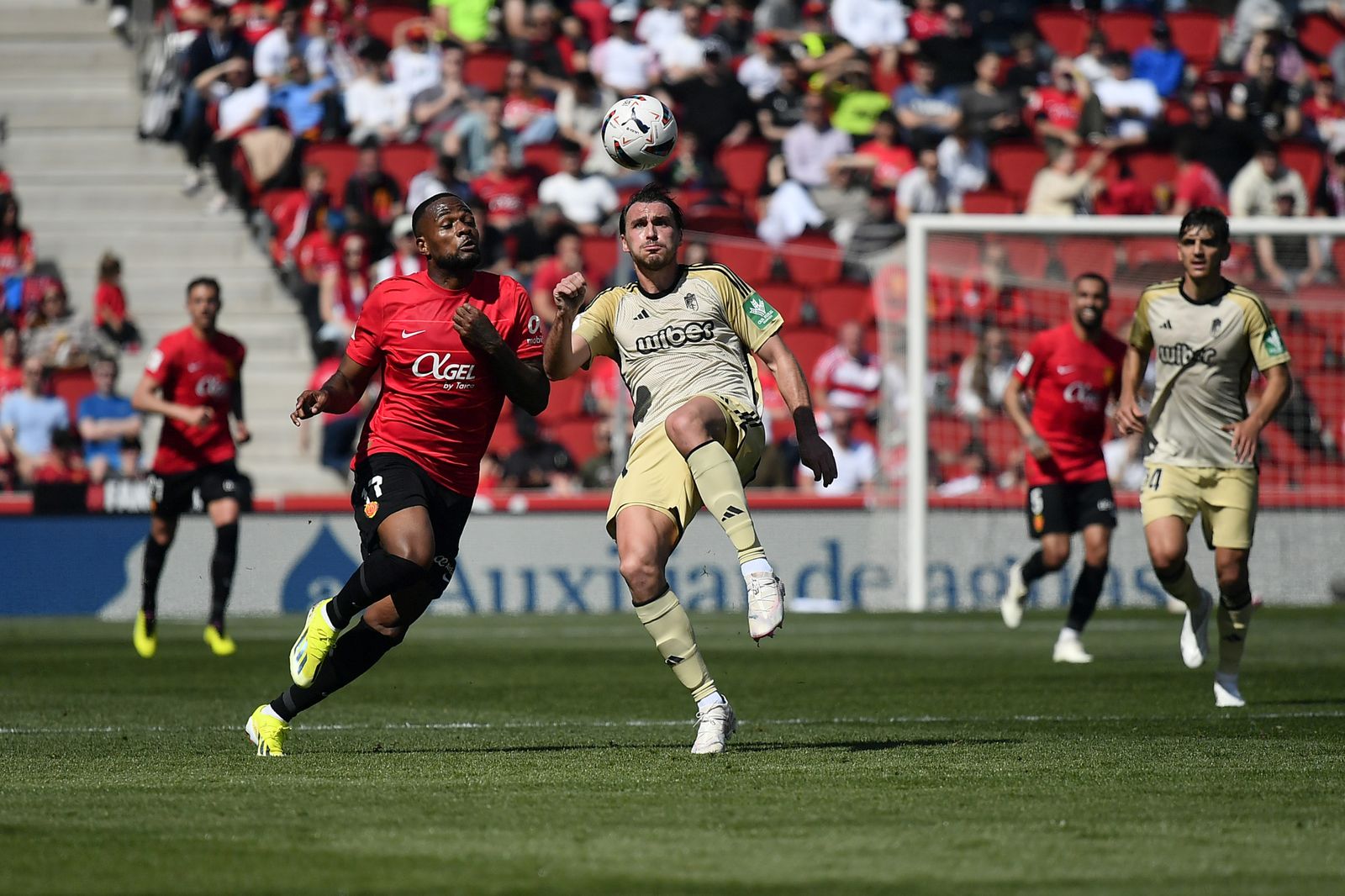 Las mejores imágenes del RCD Mallorca - Granada CF