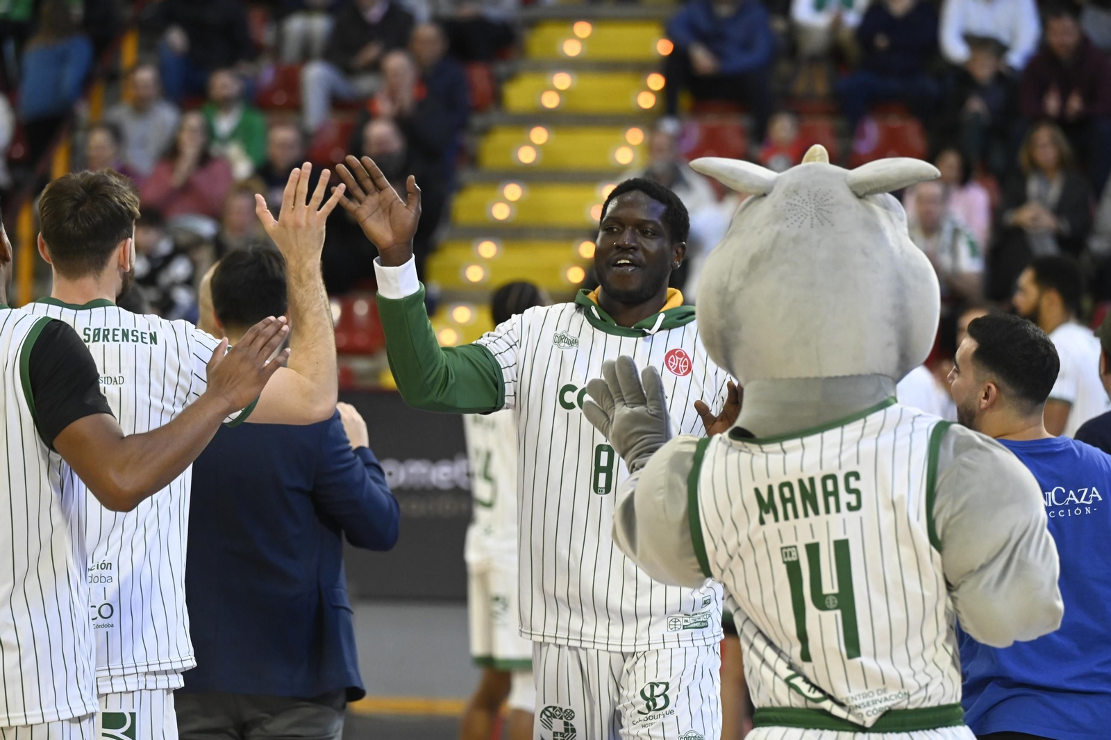 Las mejores fotos del ambiente en el Coto Córdoba - Cáceres Patrimonio de la Humanidad