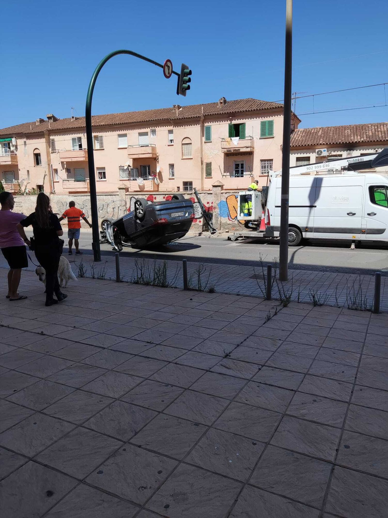 WhatsApp Image 2022-08-17 at 1.01.31 PM