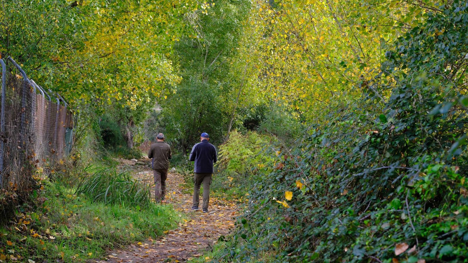 Sendero que conduce al Charco de la Barranca.