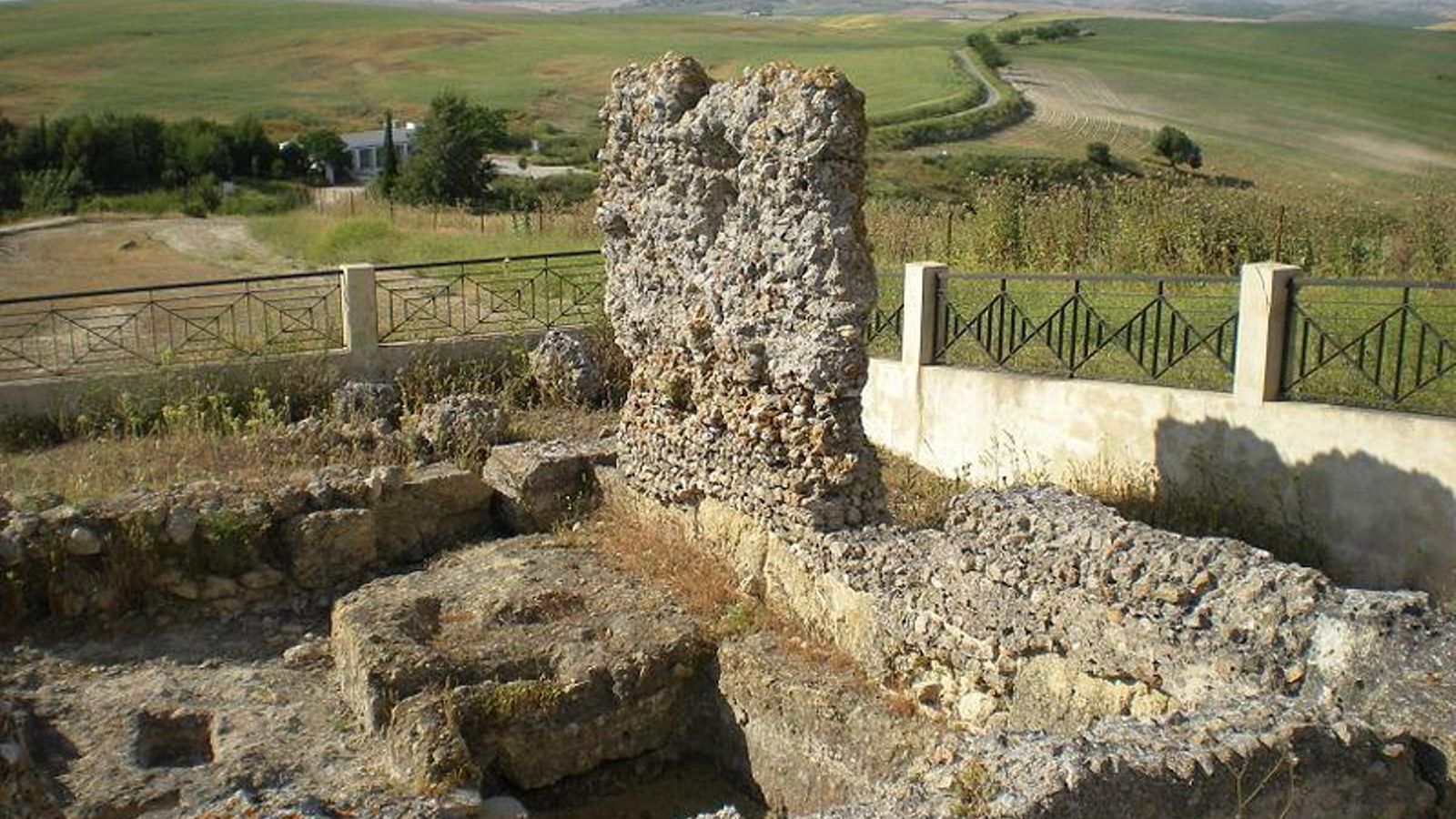 Yacimiento Carissa Aurelia.