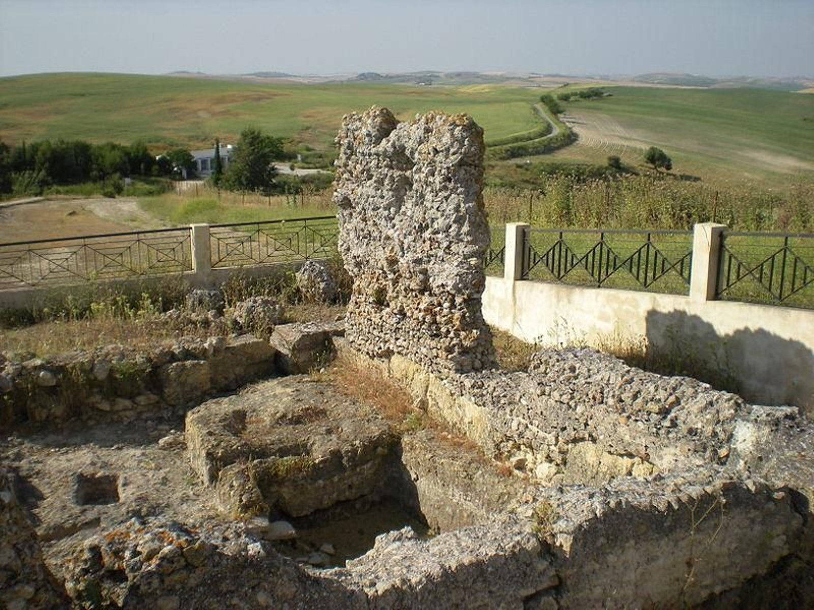 Yacimiento Carissa Aurelia.