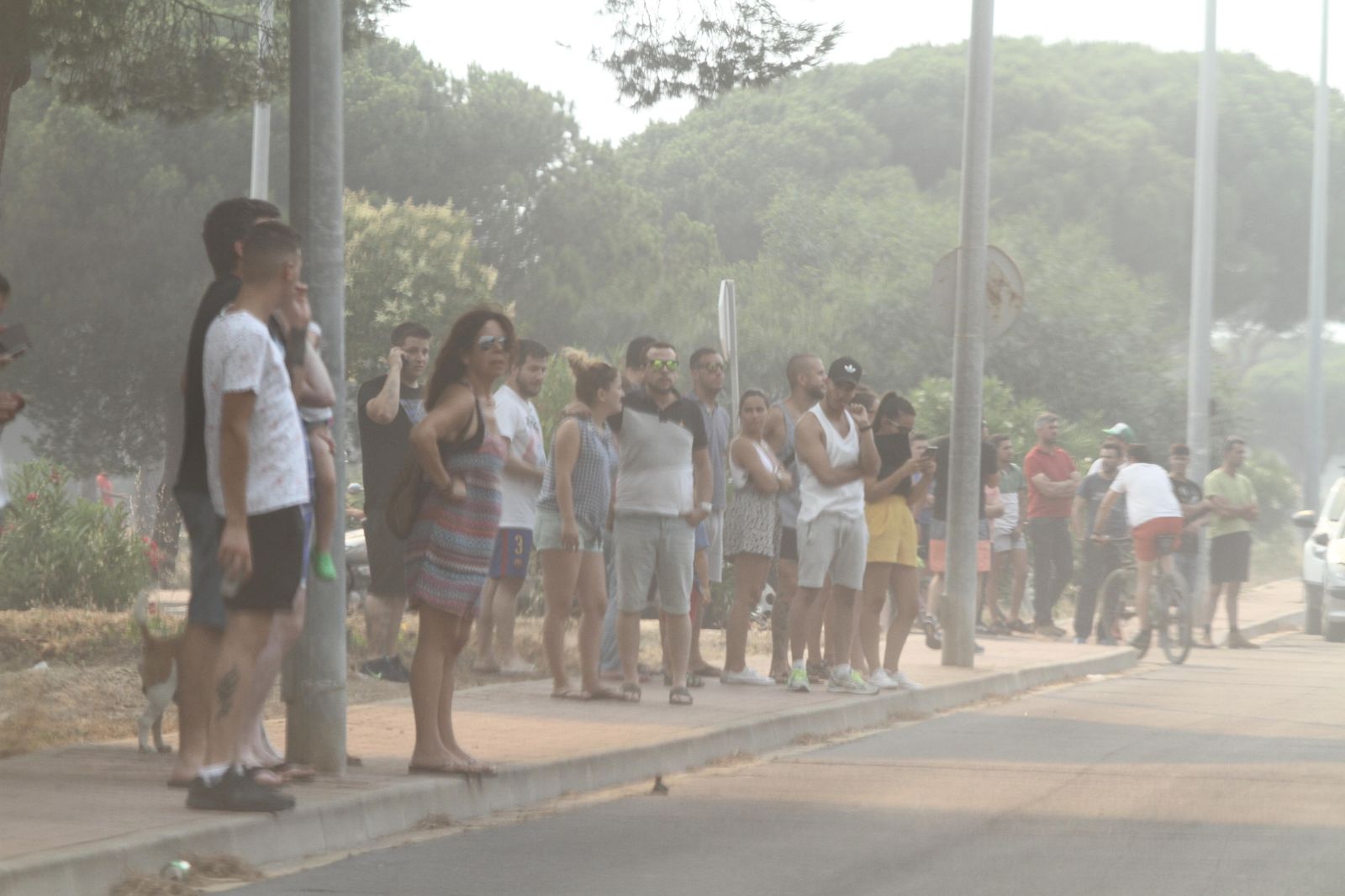 Las imágenes del incendio en Moguer y Mazagón