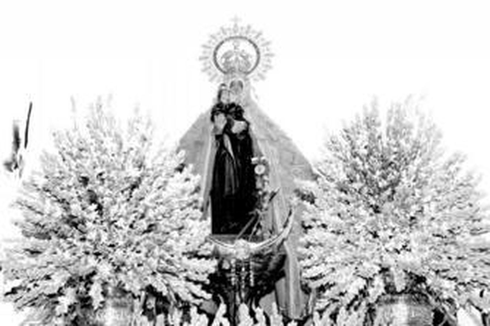 La Patrona salió a la calle en un impresionante trono, con el manto regio y adornado con unas 5000 varas de nardo.