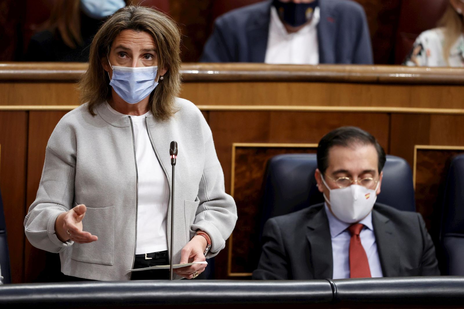 La ministra Teresa Ribera durante su intervención esta mañana en el Congreso de los Diputados.