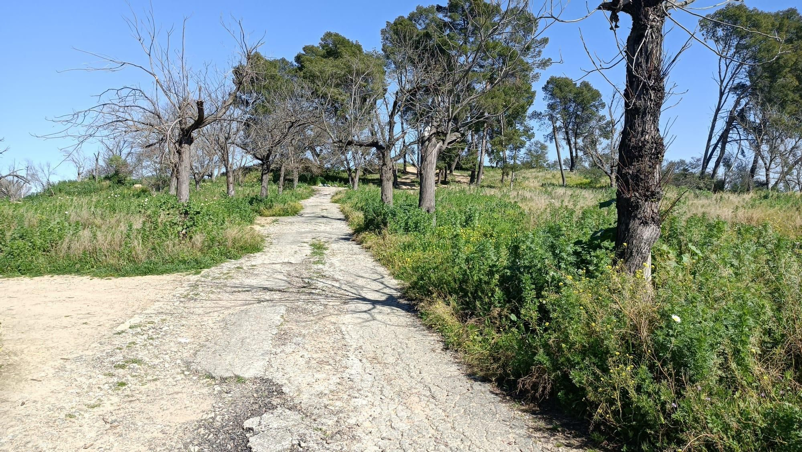 Subiendo al Yacimiento de El Carambolo.