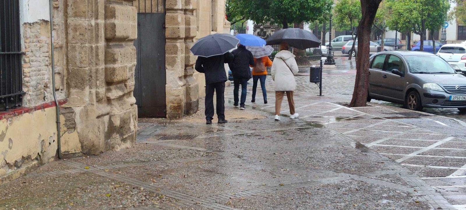 Varias personas con paraguas, esta semana en Jerez.