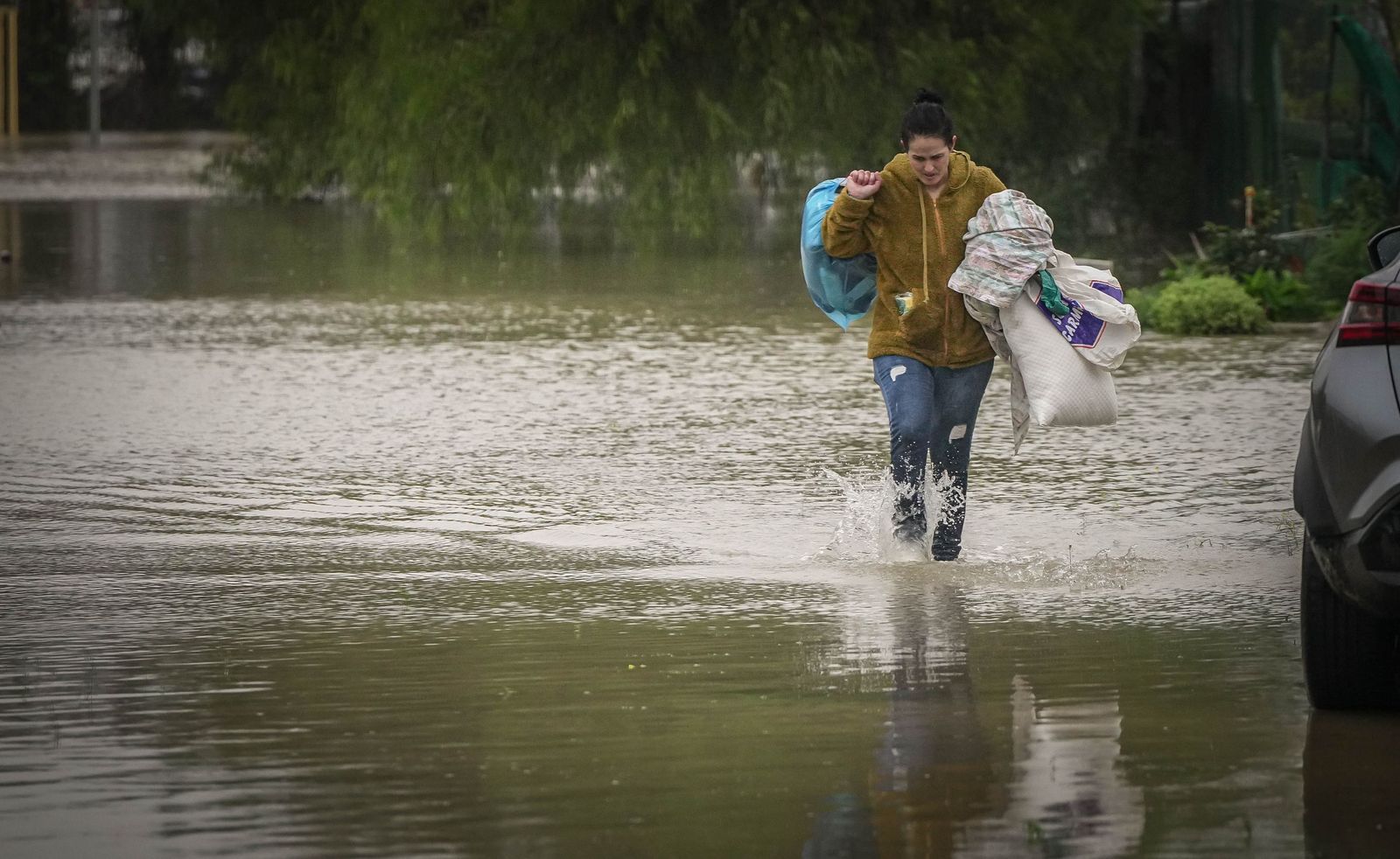 Imágenes de las graves consecuencias de la crecida del rio Guadalete en la zona rural de Jerez