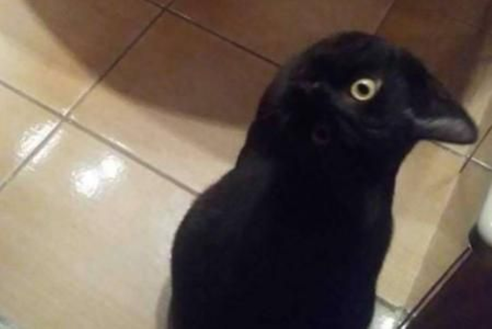 La imagen que causa sensación