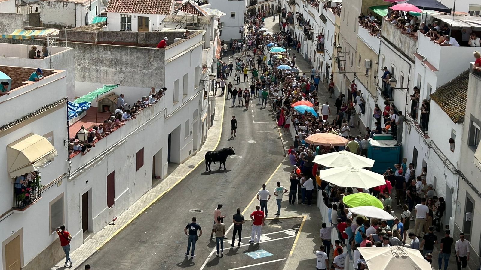 Ambiente en la calle Gomeles, durante la suelta en Arcos, este domingo.