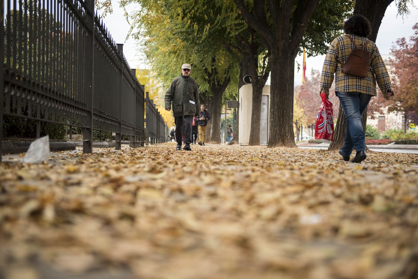 El Ayuntamiento de Granada adelanta la campaña de recogida de hojas
