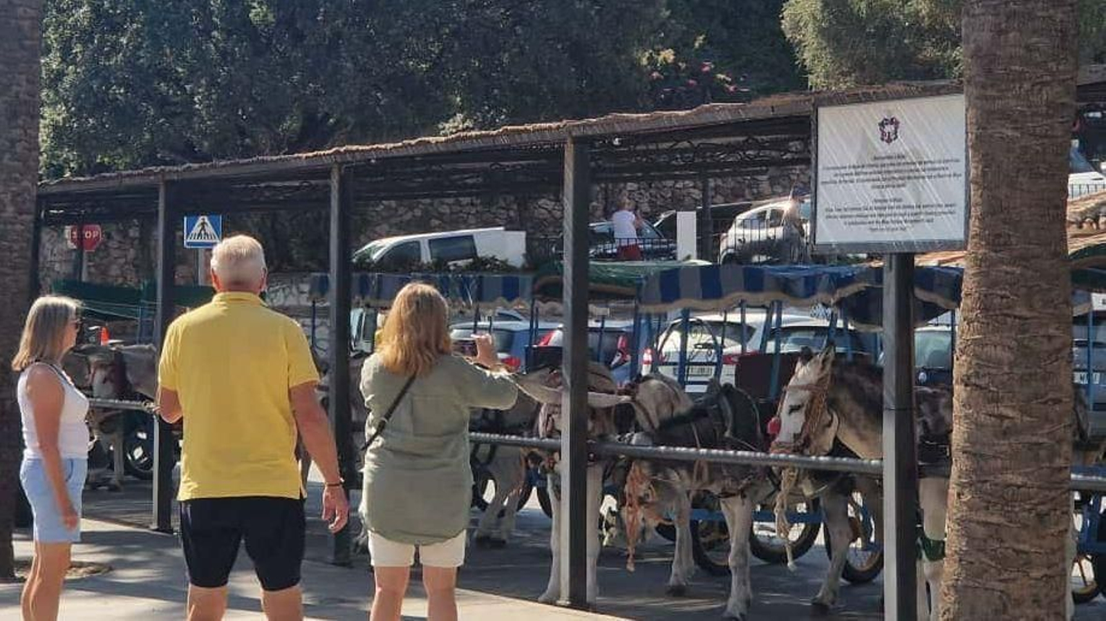 Turistas fotografían a los burro-taxis de Mijas.