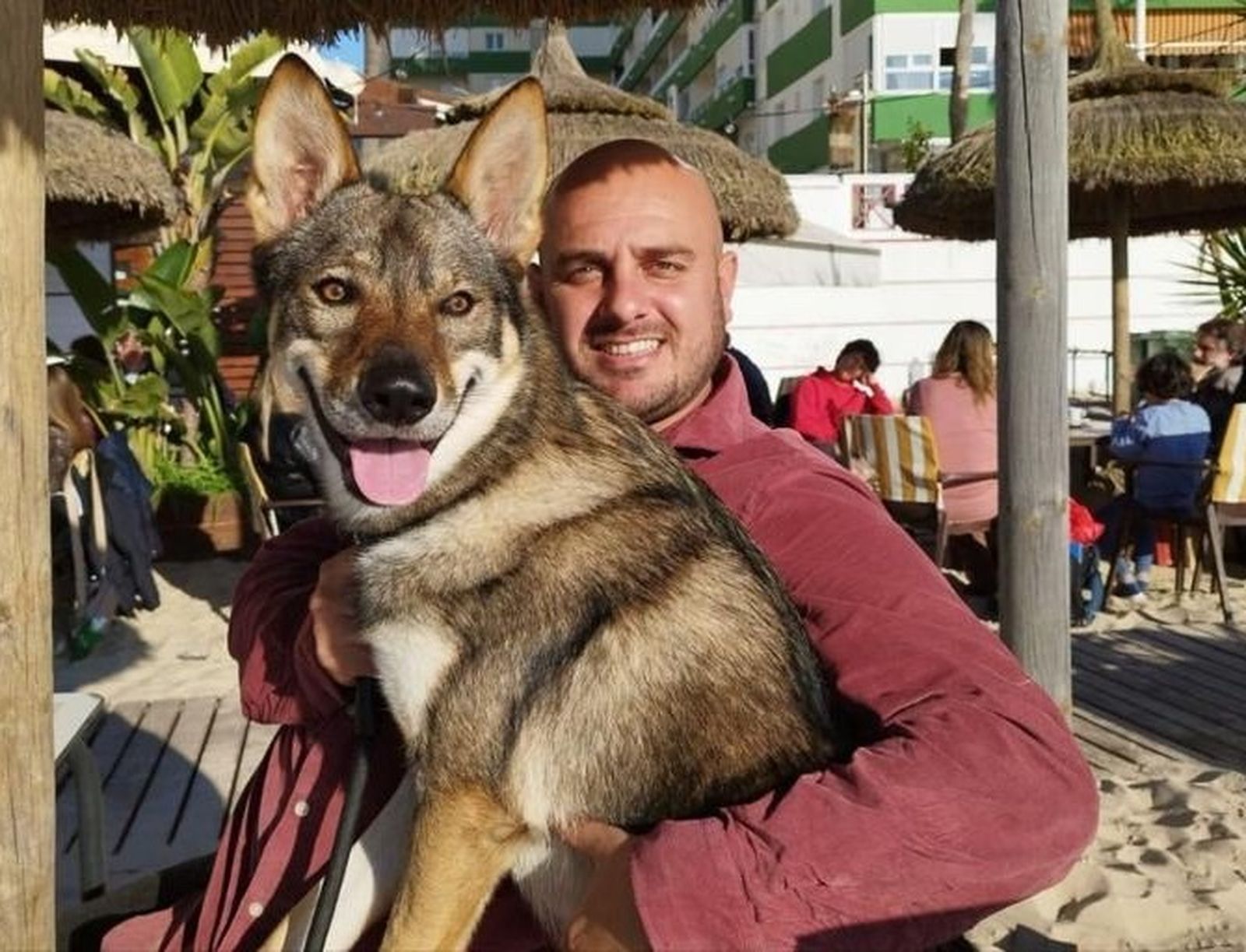 ¿Los perros se pueden llevar a la playa?