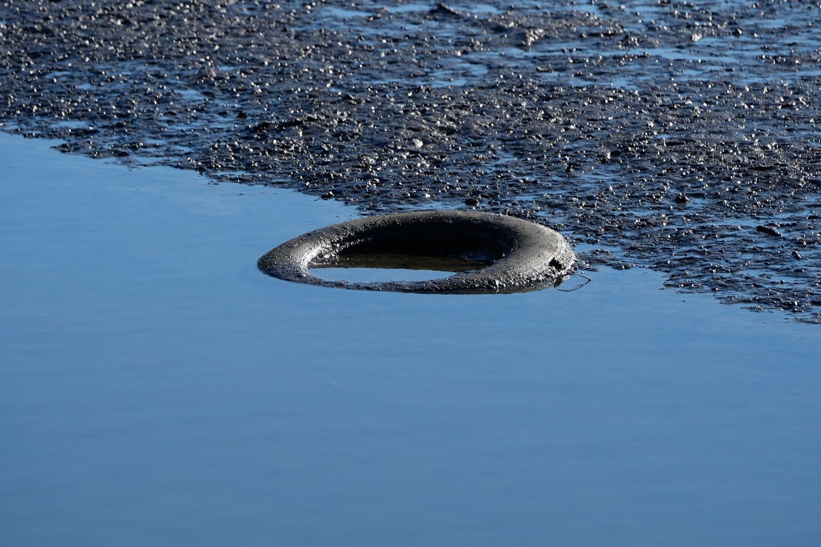 Fotos de la contaminación en el paraje natural marismas del Río Palmones