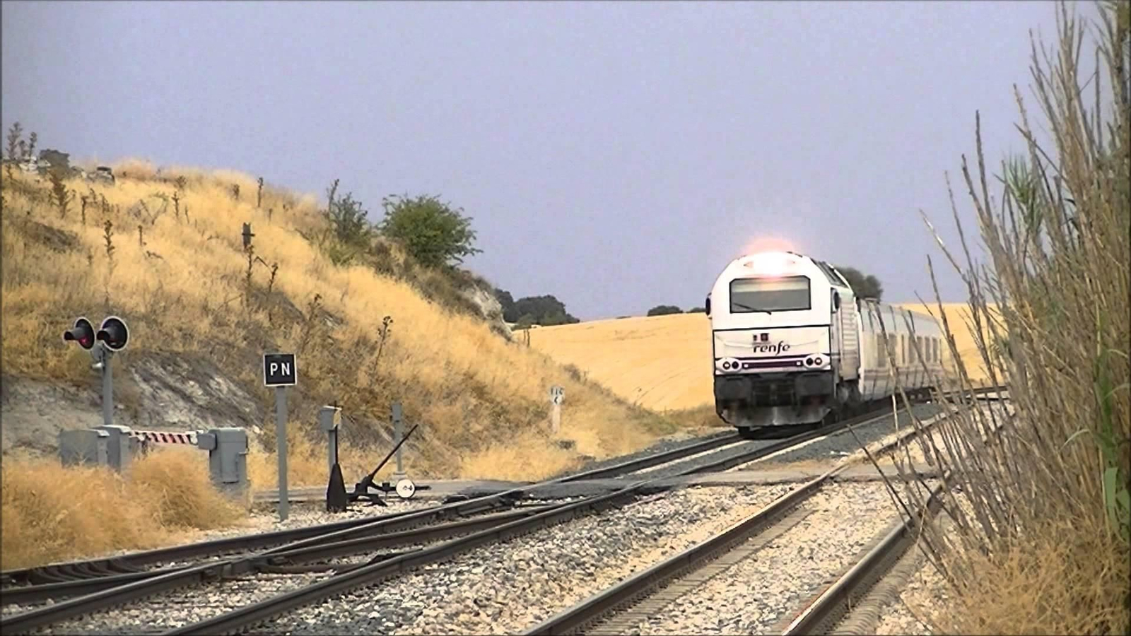 El tren de la línea Almería-Madrid a su paso por la zona de Pedro Martínez.