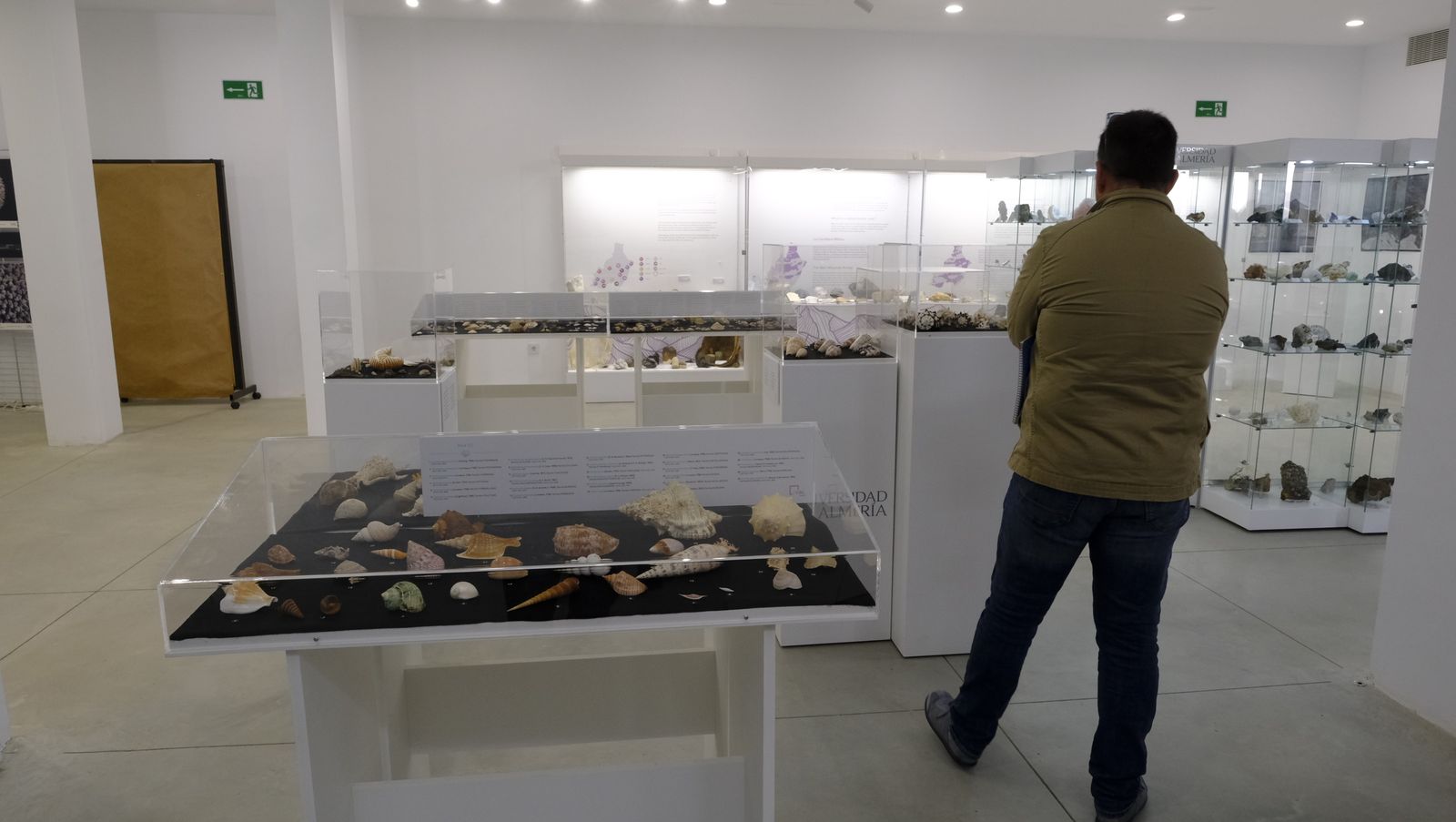 Las mejores imágenes del Pabellón de Historia Natural de la UAL