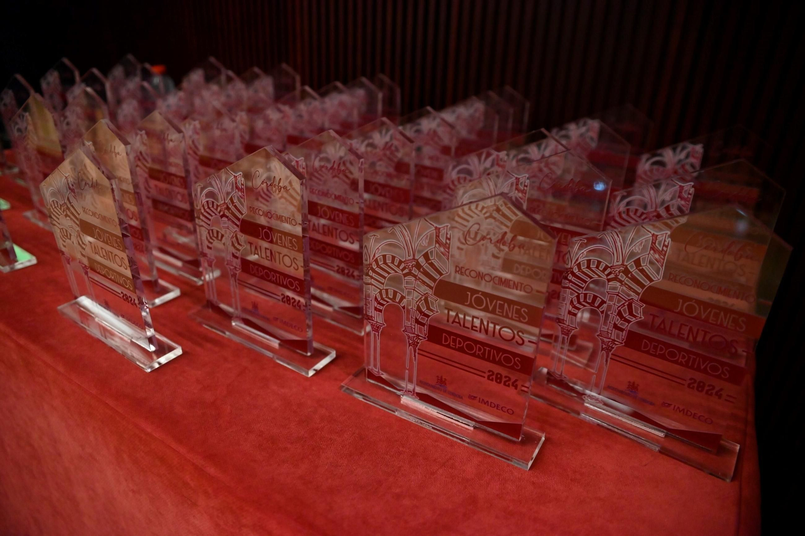 Córdoba reconoce a sus jóvenes talentos del Deporte