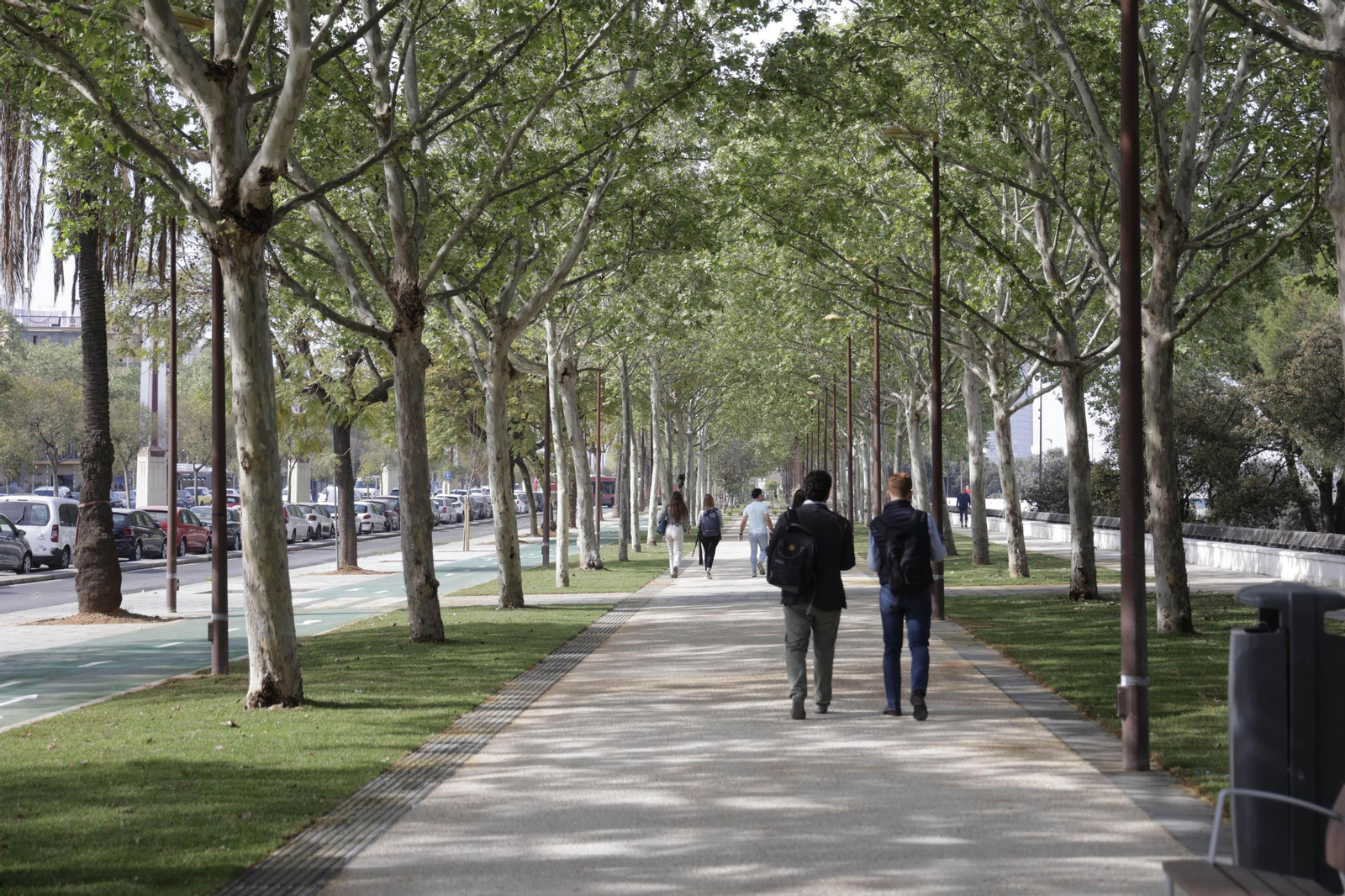 El último tramo abierto del paseo de Torneo cuenta con un nuevo espacio ajardinado.