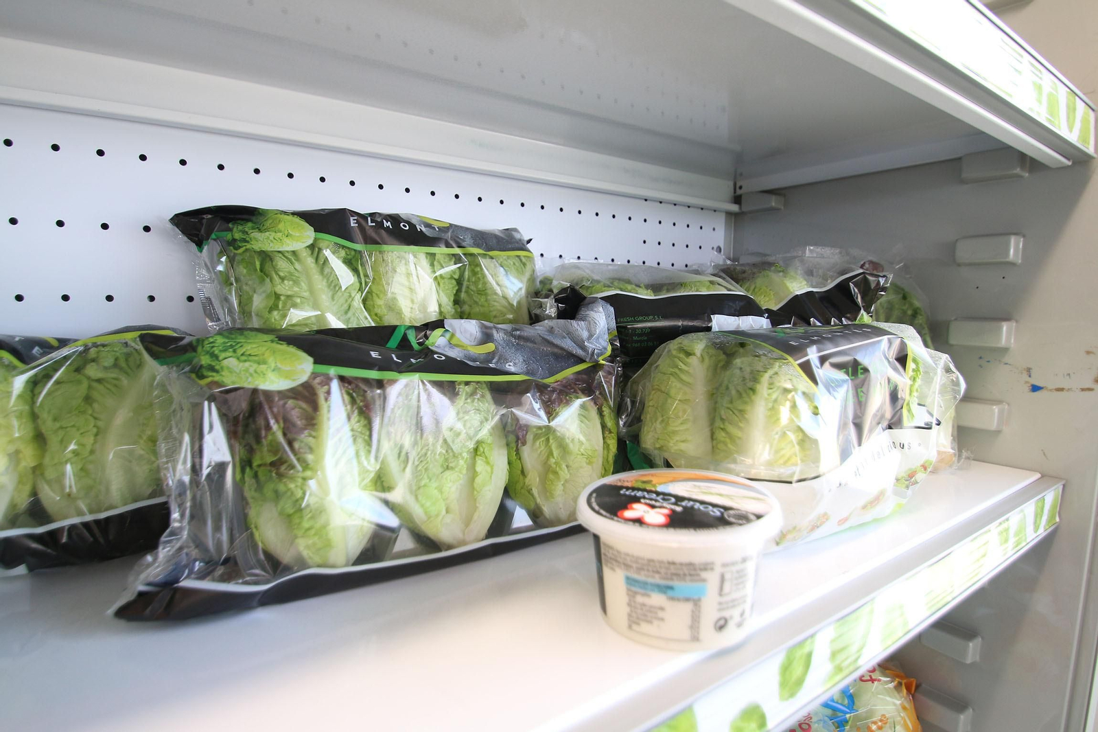 Fotogalería de las jornadas de puertas abiertas de Rijk Zwaan en Cartagena