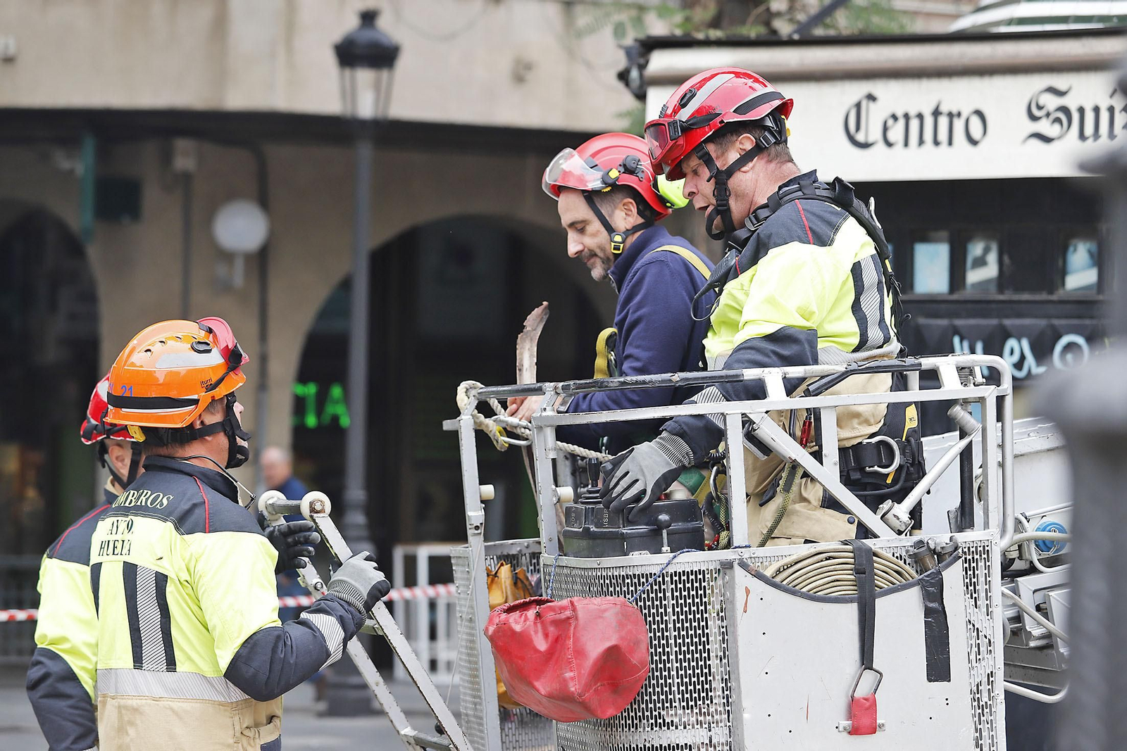 La palmera de Huelva es sometida a una inspección y posterior poda tras el paso del último temporal