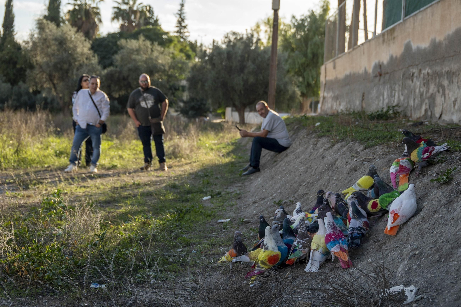 Las mejores imágenes de la suelta de palomos en la Feria de Albox