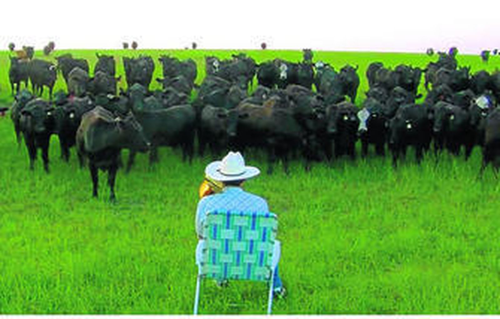 Imagen de la película 'Al toro bravo échale vacas', de María Cañas.