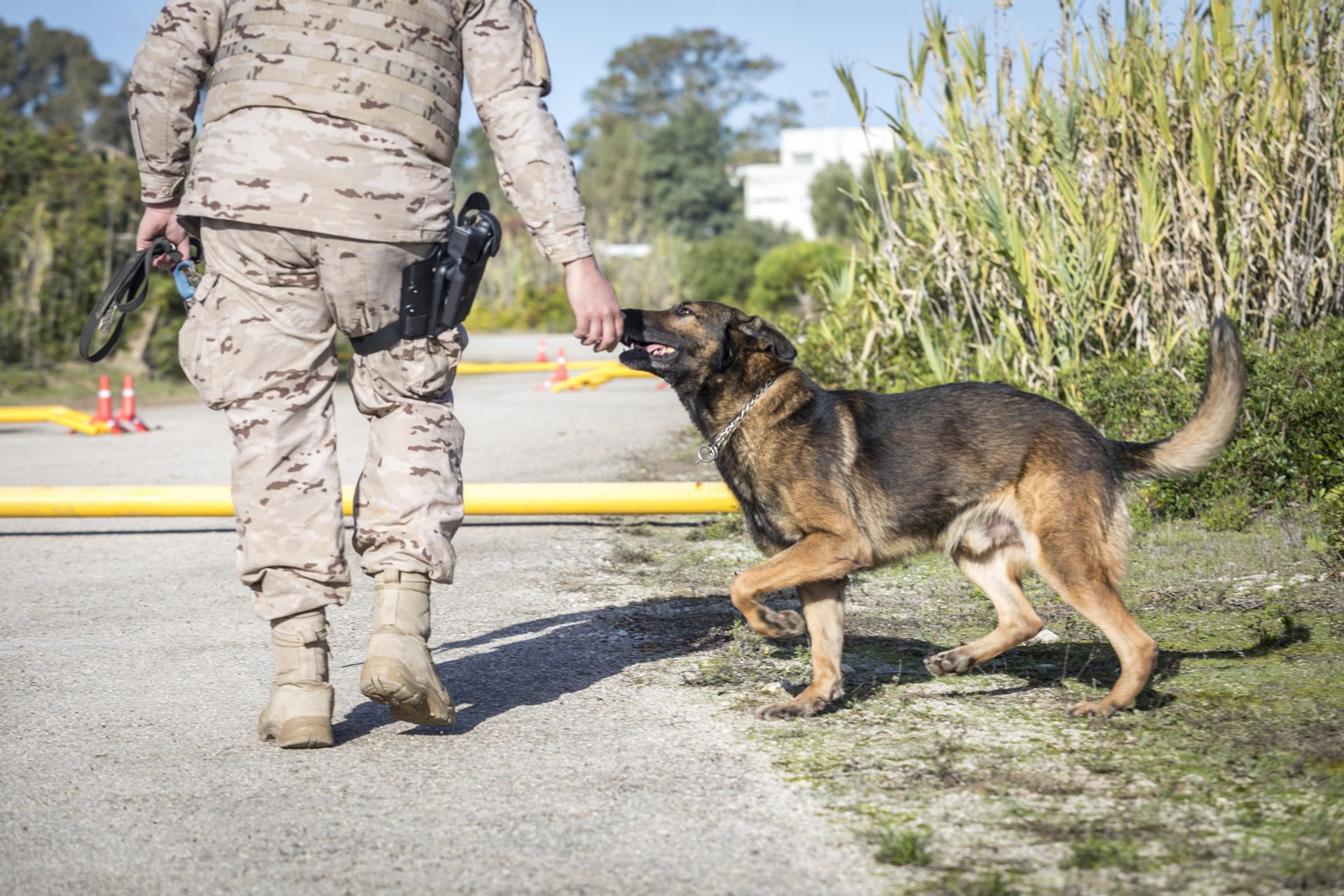Adiestramiento de Infantería de Marina durante el ejercicio FTX-FIM 18 en la base de Rota