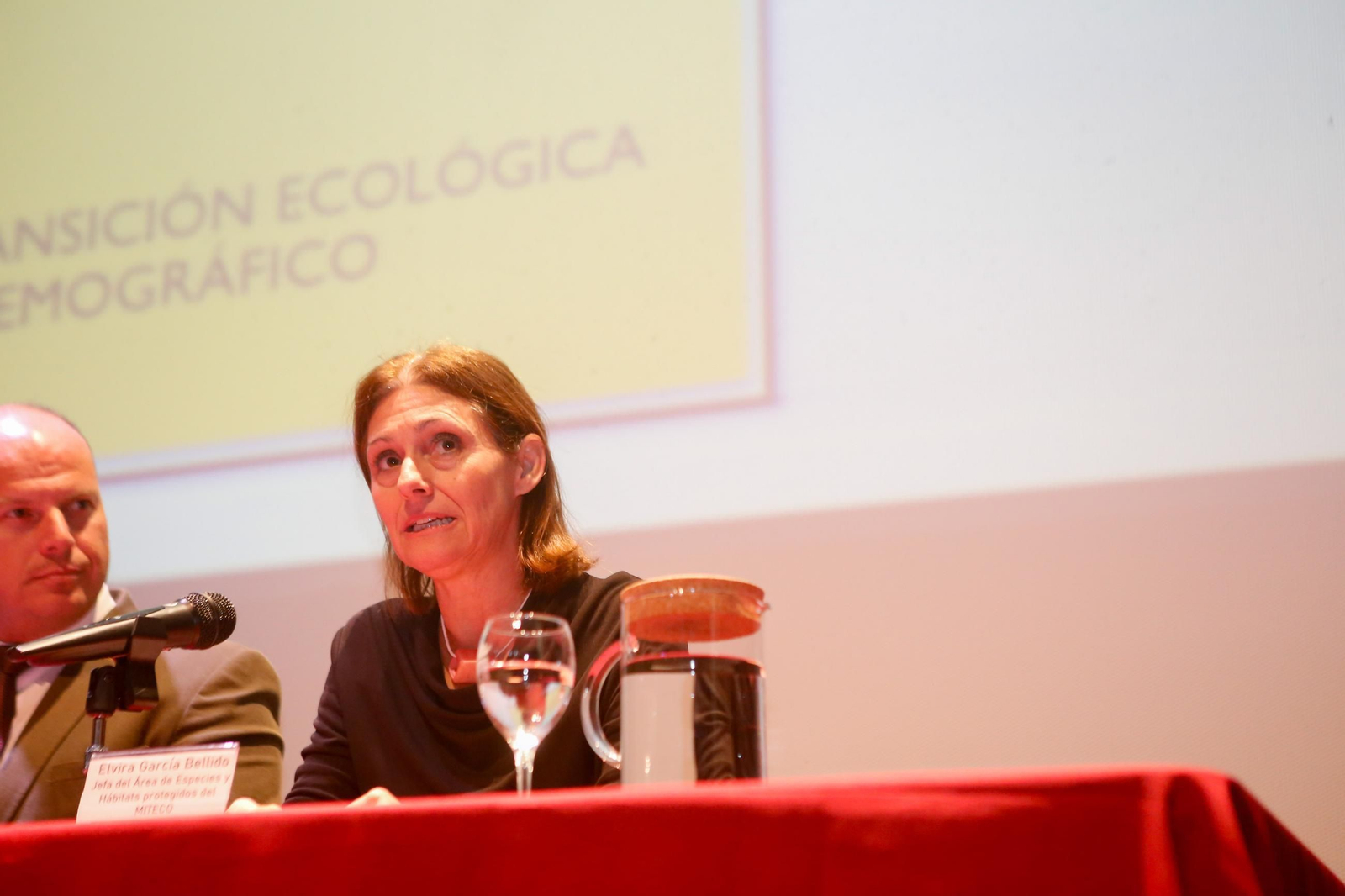 Las fotos de la jornada sobre el alga invasora en Tarifa