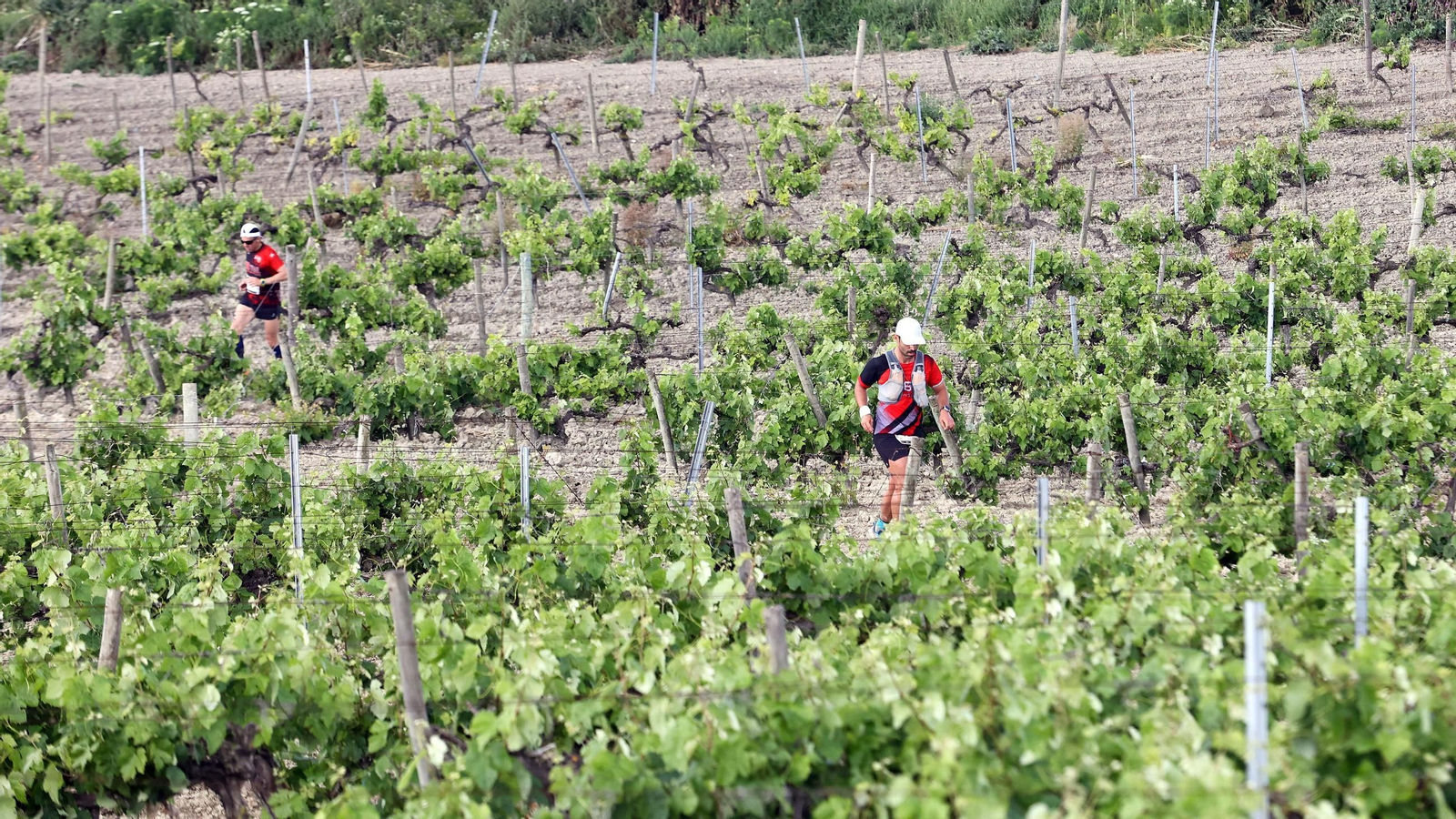 Búscate en la Sherry Maratón 2025 de Jerez (I)