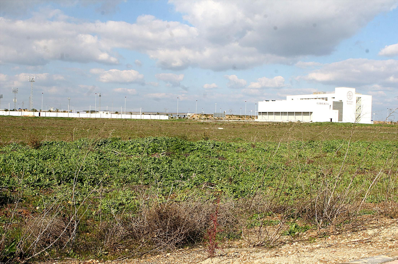 El futuro de Huelva en los suelos