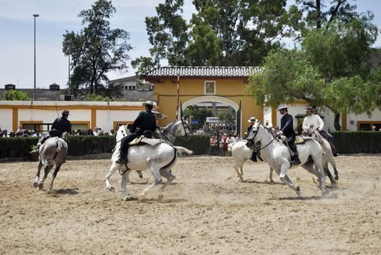 Recibimiento. Espectáculo previo a la entrada del galardonado. 

Foto: Manu Garcia