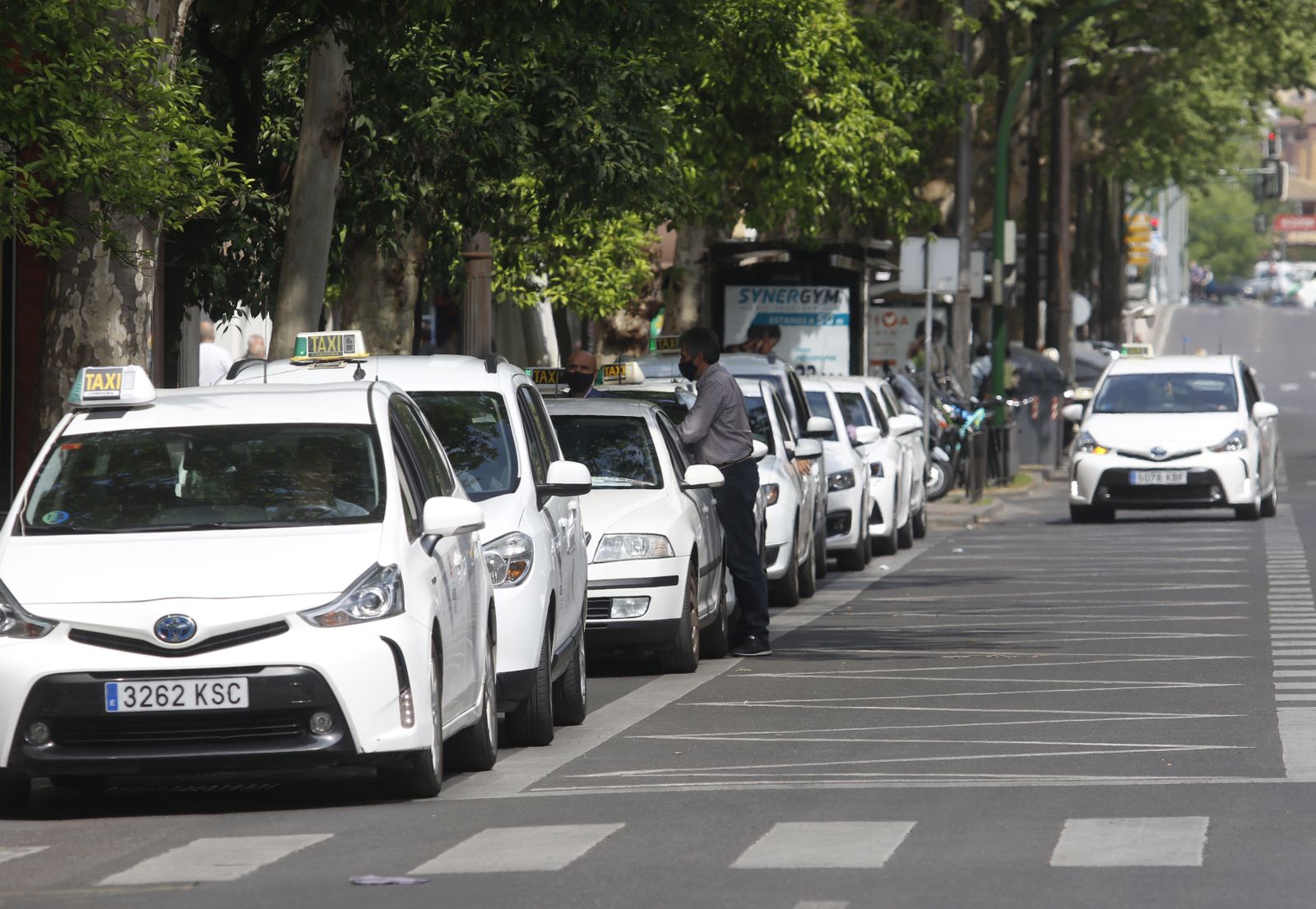 Varios taxis esperan en la parada de Gran Capitán.