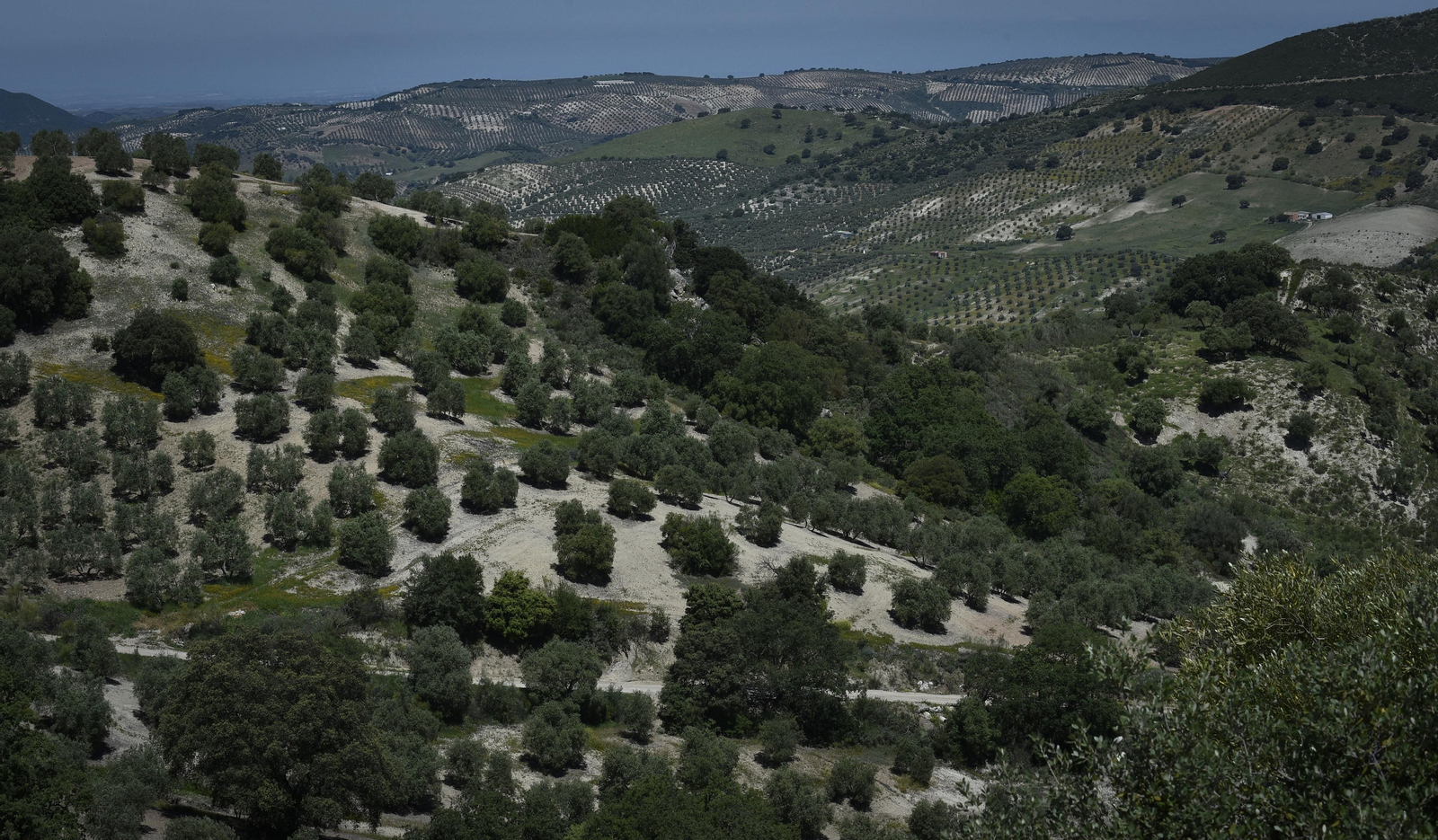 La resistencia en los pueblos de Sevilla al Coronavirus: Pruna