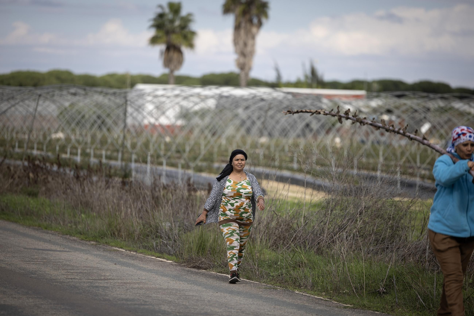 Las fotos de los cultivos en Doñana después del acuerdo sobre la regulación de regadios