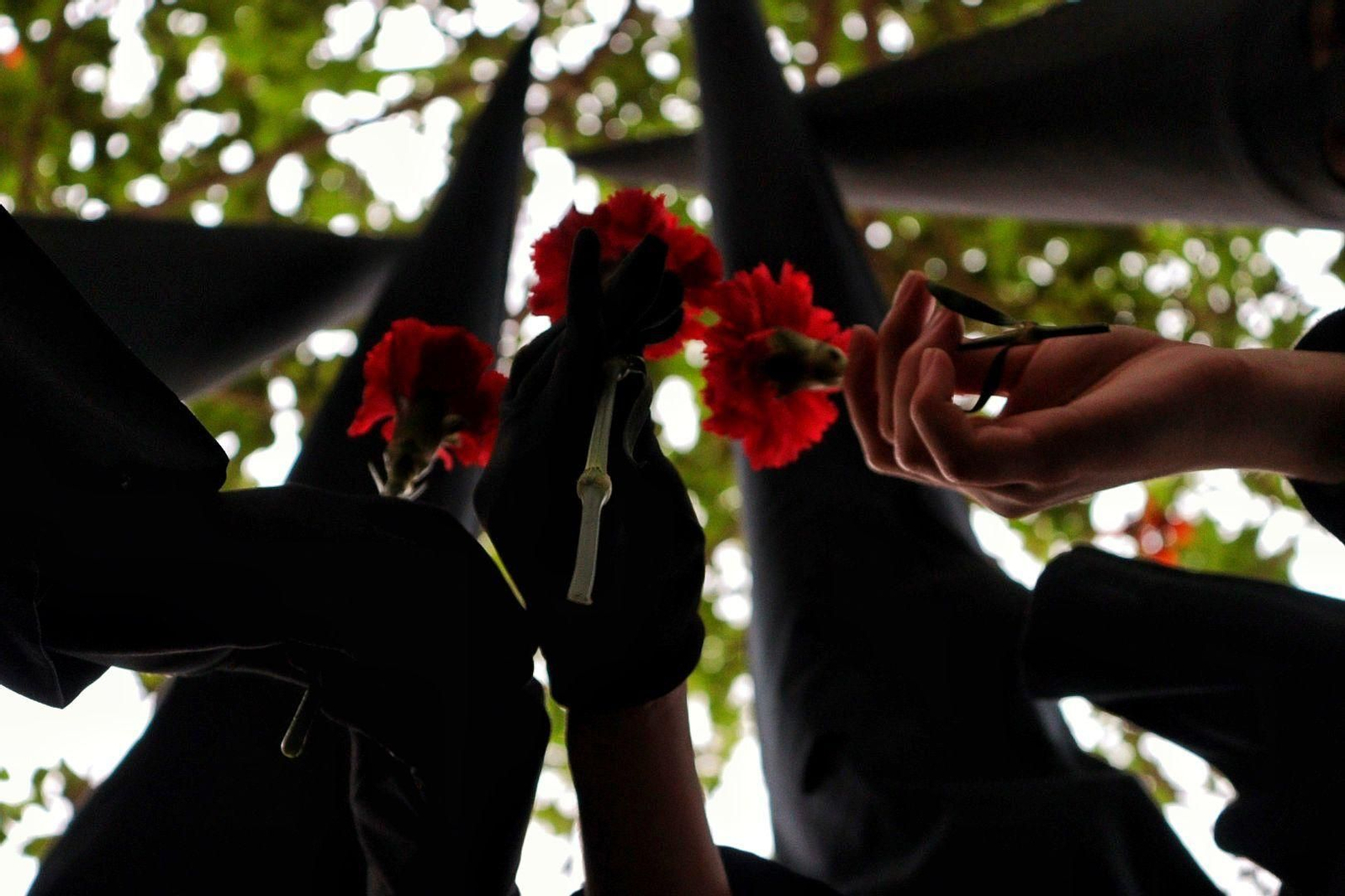 Claveles rojos en Fusionadas este Miércoles Santo en Málaga.