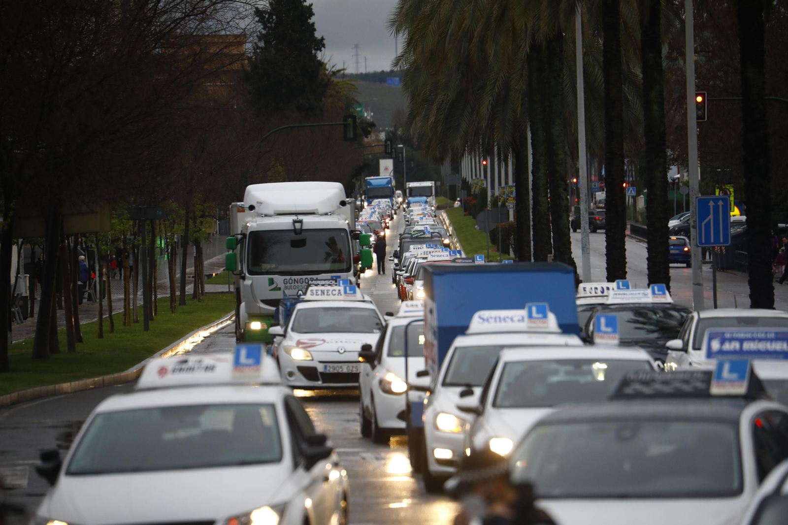 Las autoescuelas toman Córdoba, en fotografías.