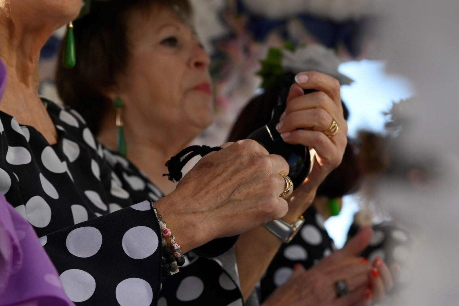 Las mejores imágenes de la salida de la Romería de Santo Domingo en Córdoba Las mejores imágenes de la salida de la Romería de Santo Domingo en Córdoba