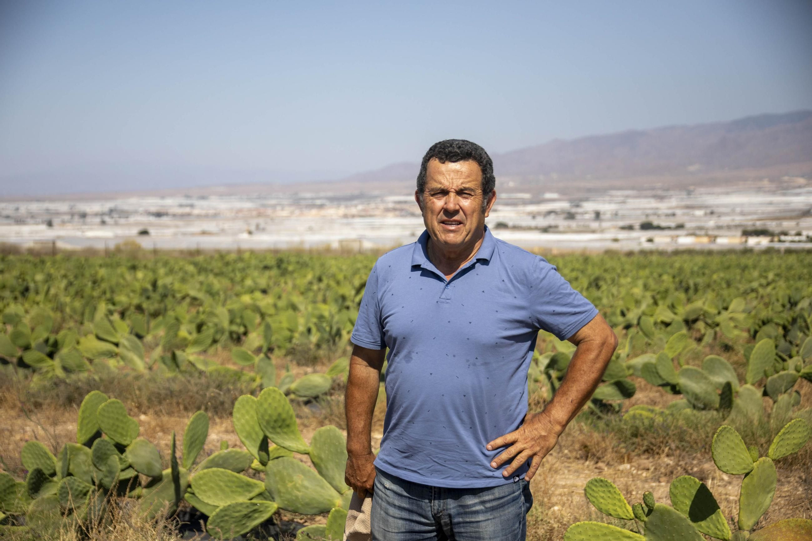 Plantación de chumbos de Níjar