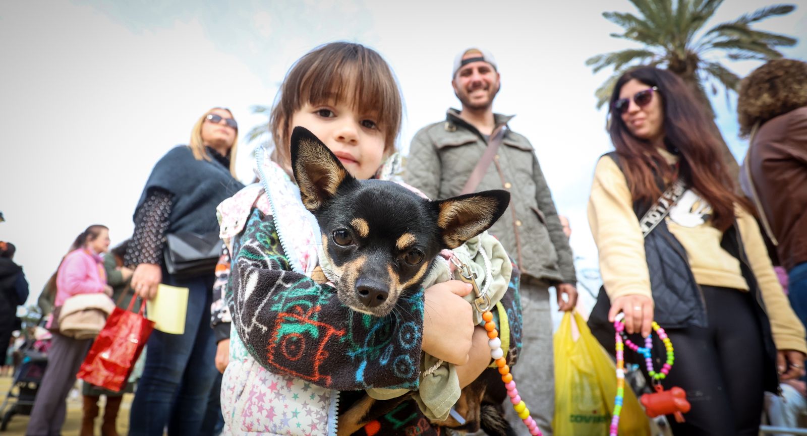 Fiesta de san Antón 2024 en Jerez