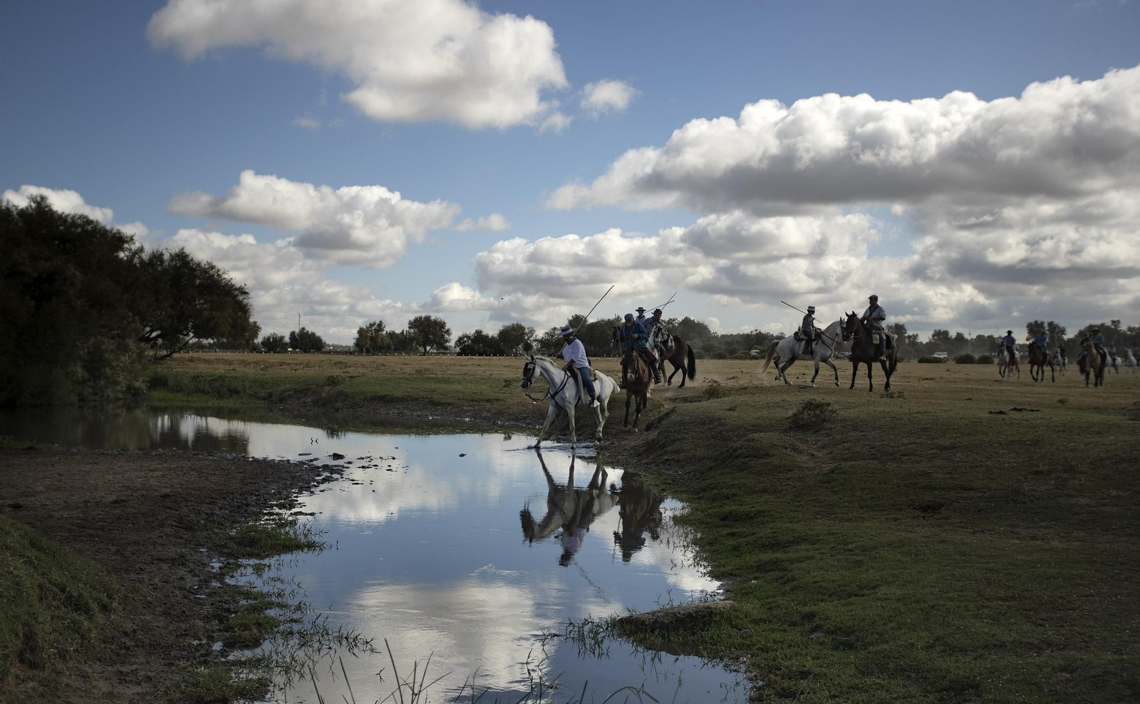 La Saca de las Yeguas, en imágenes