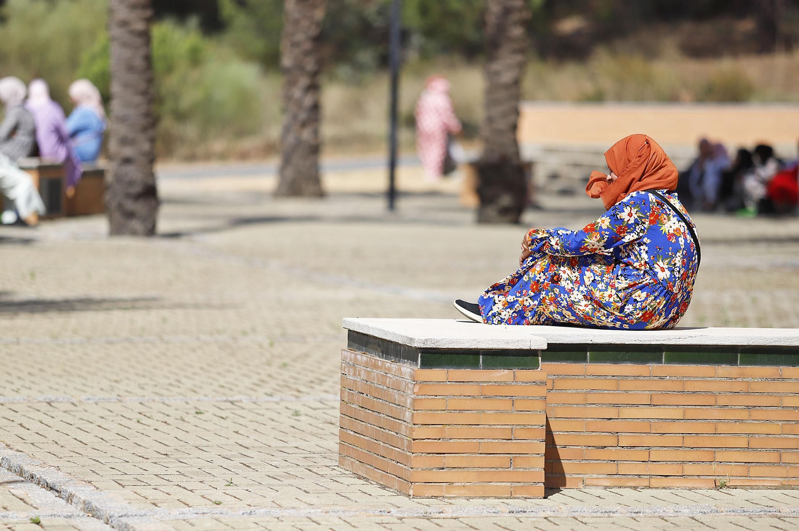 Imágenes de la entrega de los diplomas a las mujeres que han participado en el programa Wafira. Imágenes de la entrega de los diplomas a las mujeres que han participado en el programa Wafira.