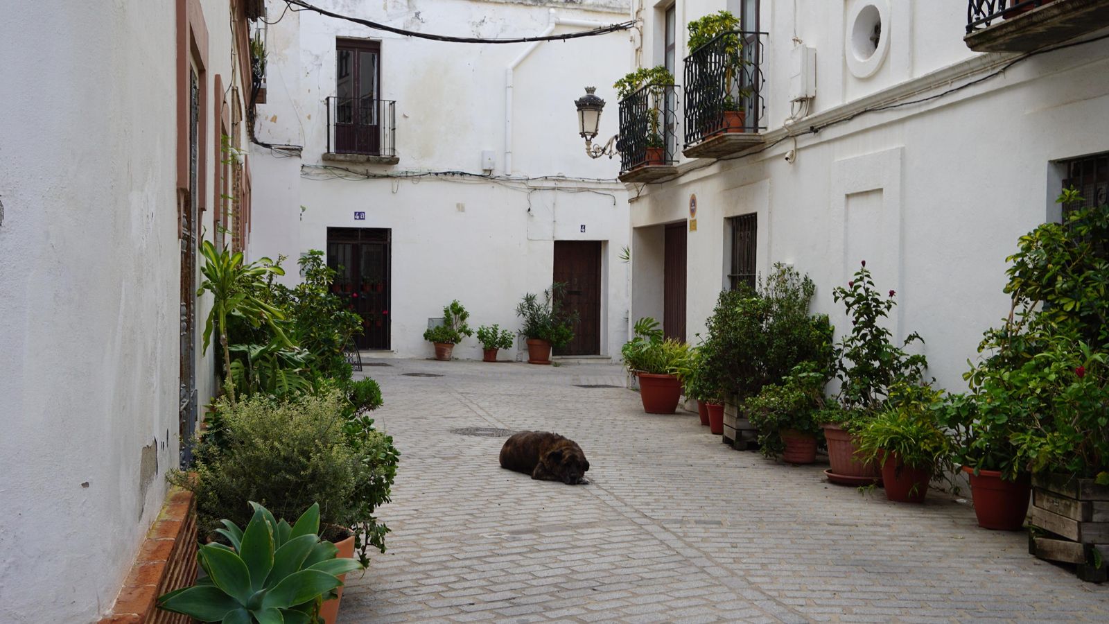 Una de las calles del centro de Tarifa Una de las calles del centro de Tarifa